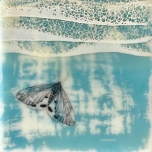 Moth 3