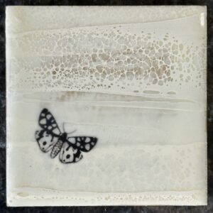 Moth 2