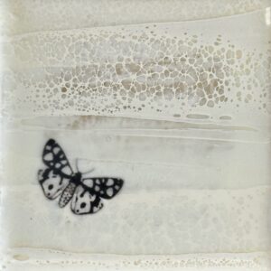 Moth 2
